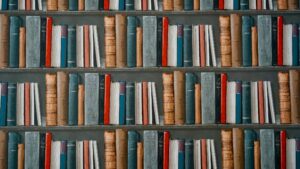 Shelves of books.