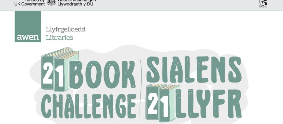 21 book challenge sm